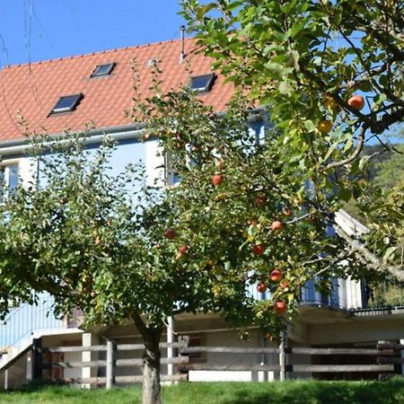 Les Locations De Stephanie ,Gite Le Verger Sondernach Exteriör bild
