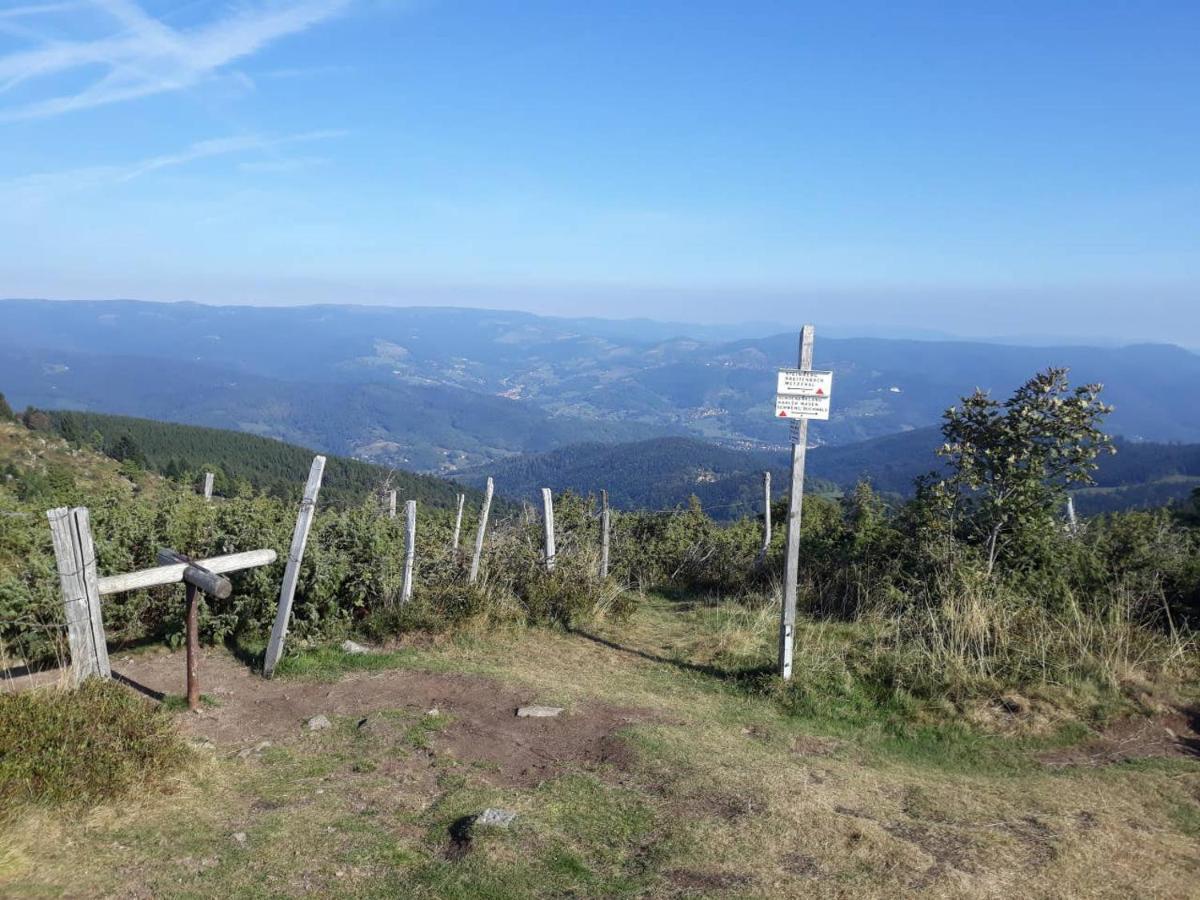 Les Locations De Stephanie ,Gite Le Verger Sondernach Exteriör bild