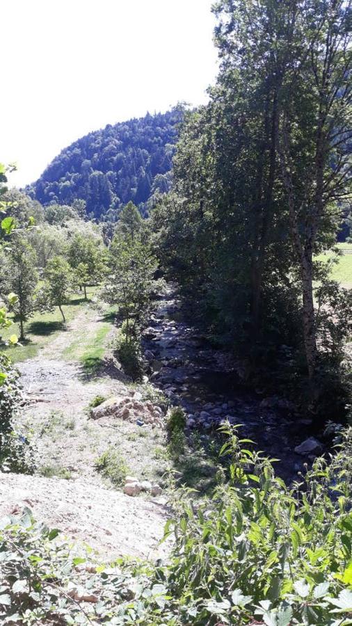 Les Locations De Stephanie ,Gite Le Verger Sondernach Exteriör bild
