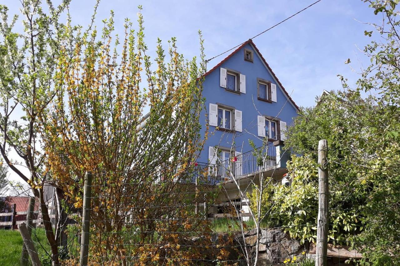 Les Locations De Stephanie ,Gite Le Verger Sondernach Exteriör bild