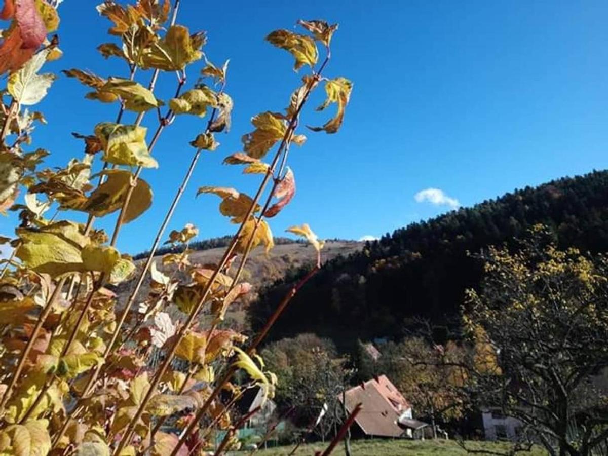Les Locations De Stephanie ,Gite Le Verger Sondernach Exteriör bild