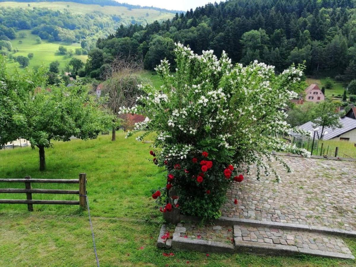 Les Locations De Stephanie ,Gite Le Verger Sondernach Exteriör bild